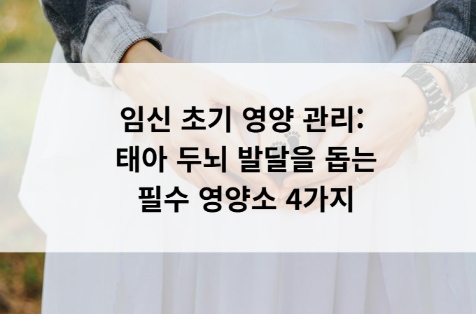 임신 초기 영양 관리