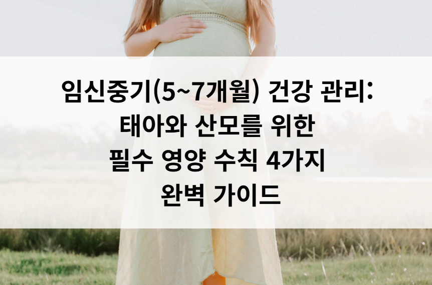 임신중기 산모 건강관리 가이드